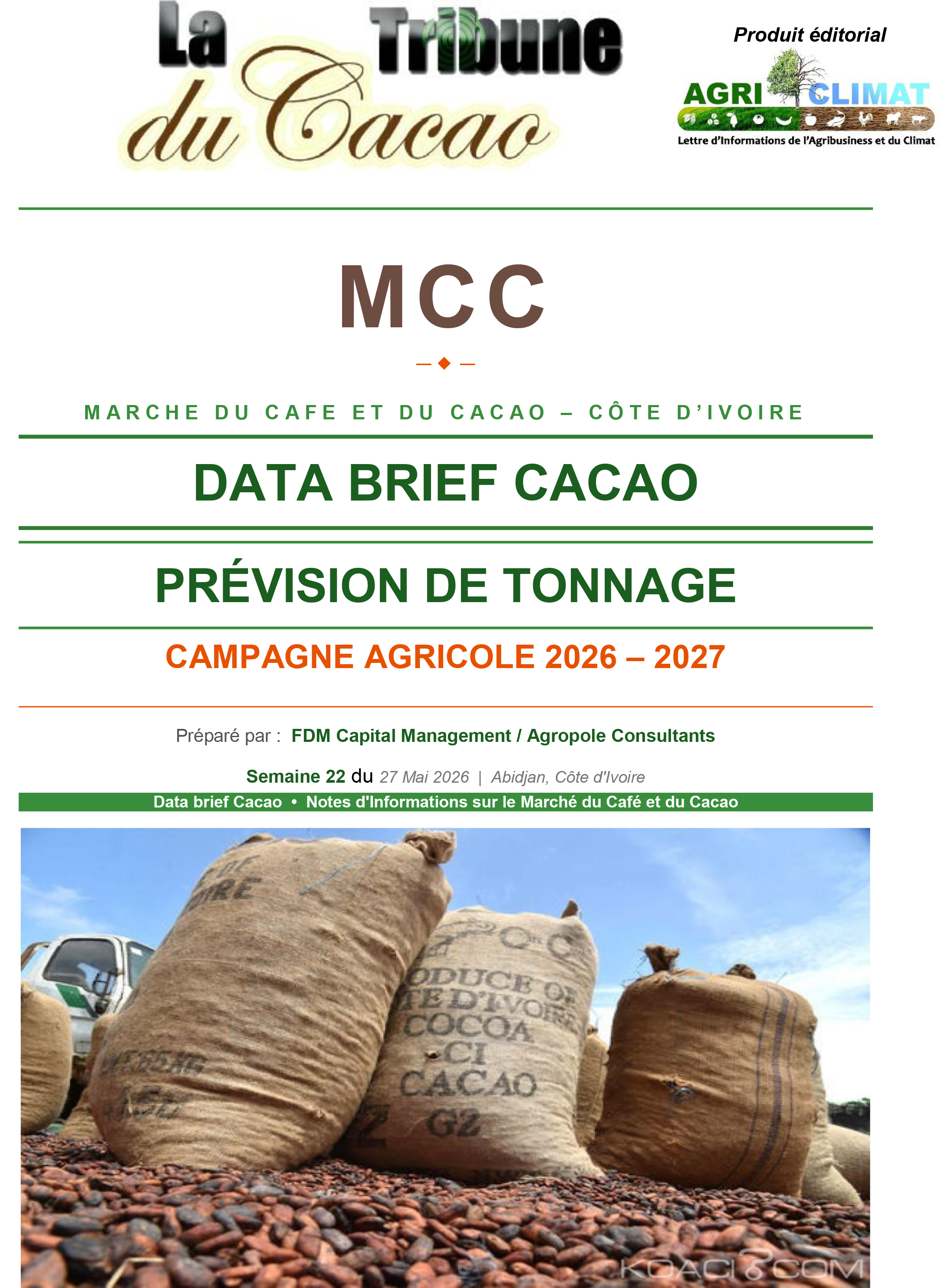 DATA BRIEF CACAO